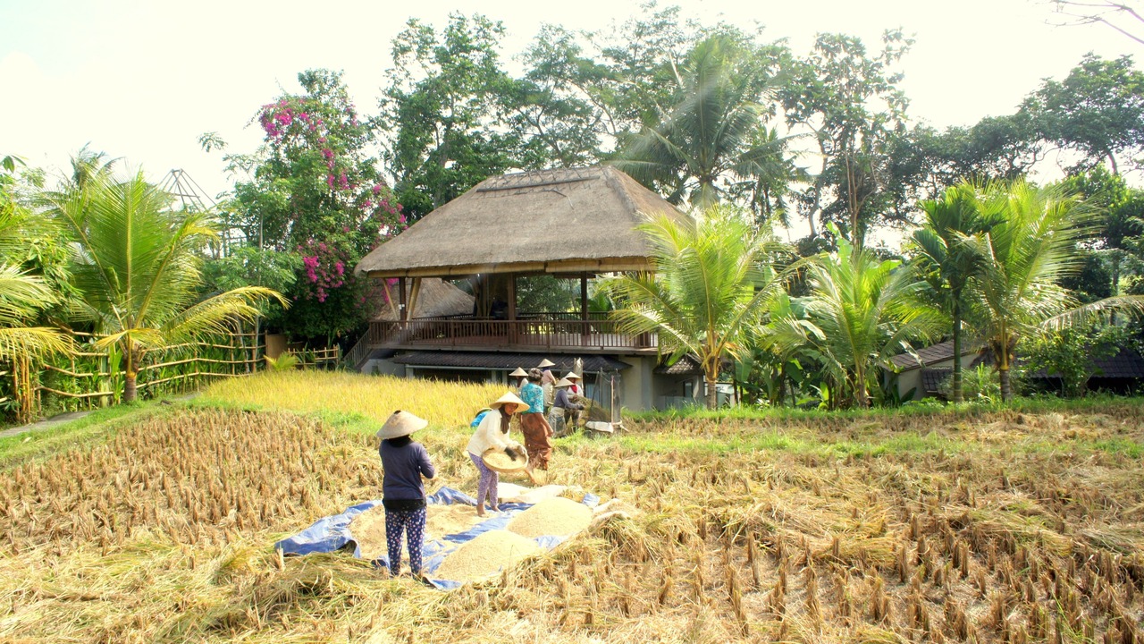 Photo of Outdoor in Ubud City-Centre