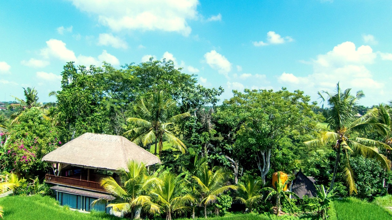 Photo of Outdoor in Ubud City-Centre