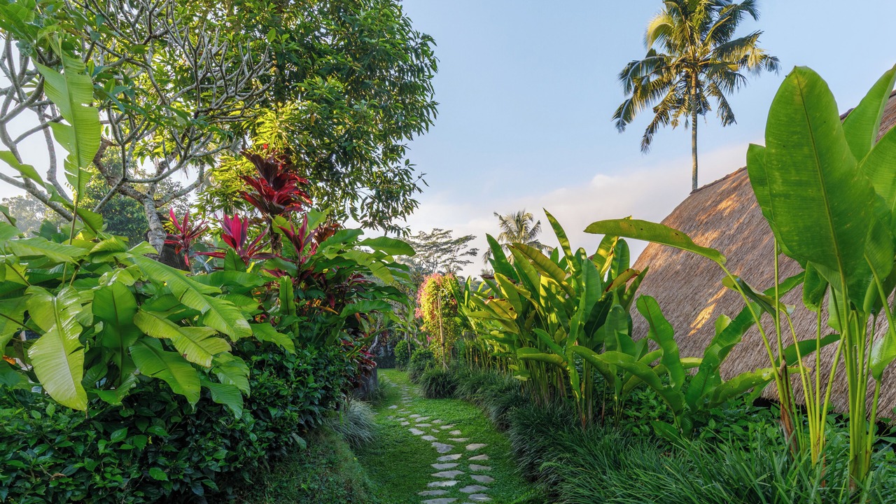 Photo of Outdoor in Payangan