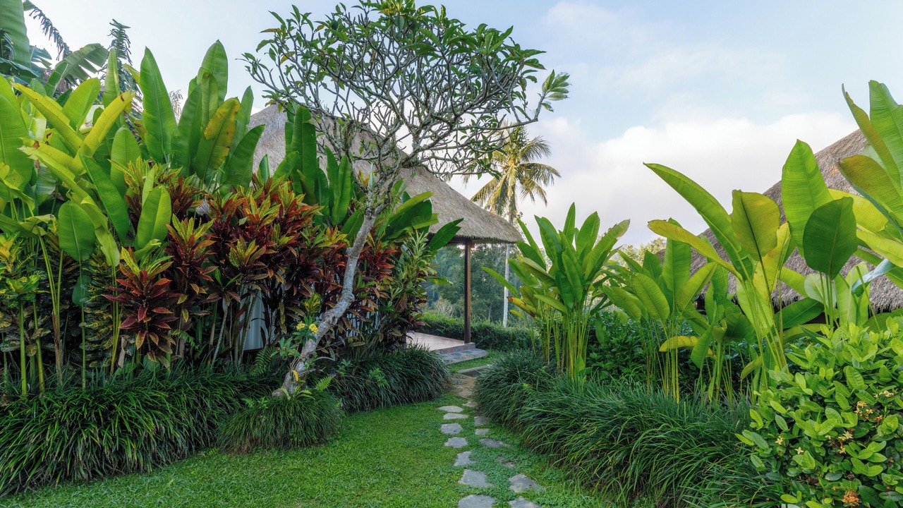 Photo of Outdoor in Payangan