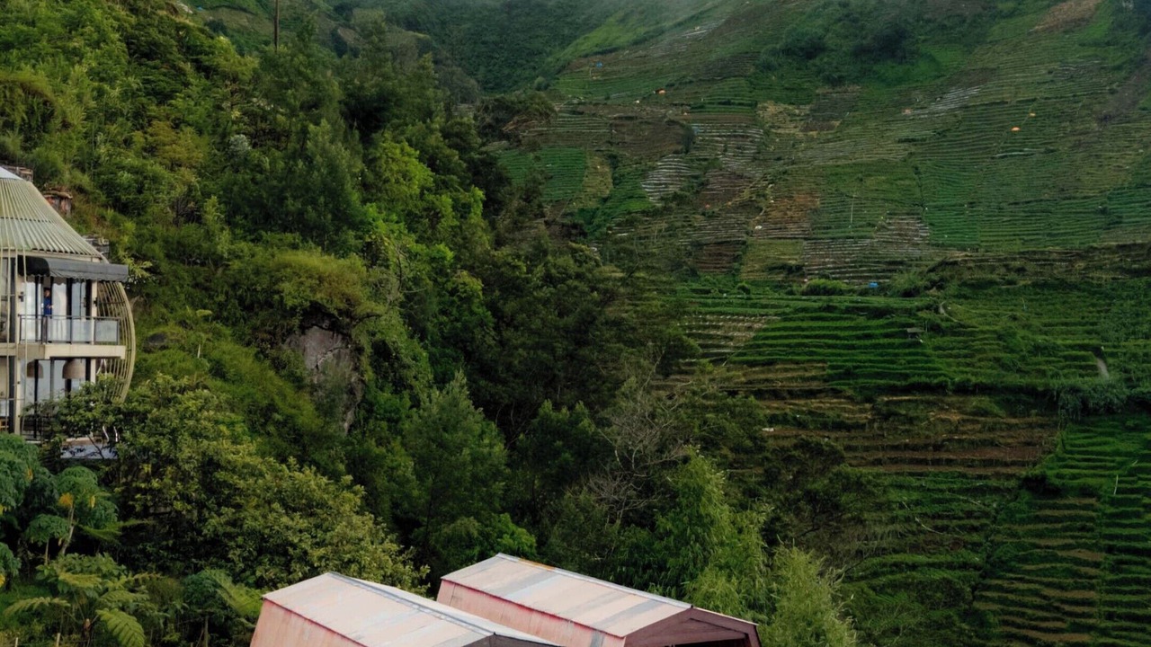 Photo of Outdoor in Kejajar