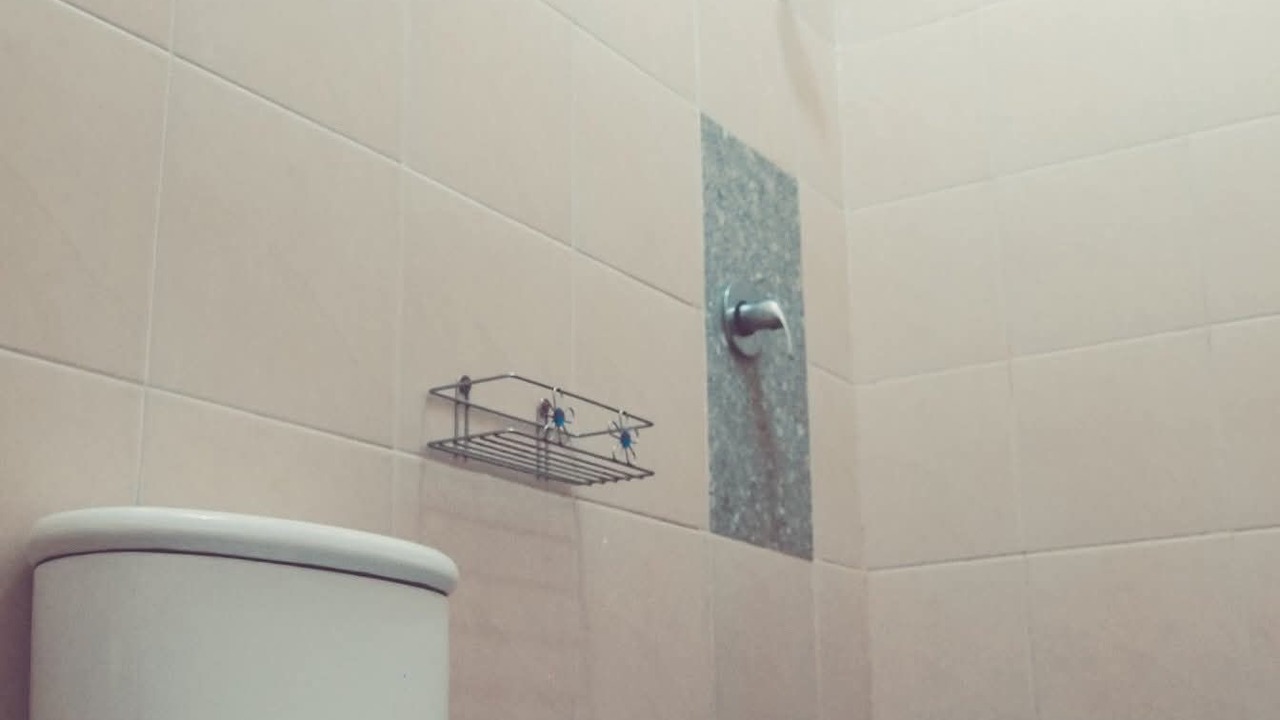 Photo of Bathroom in Plaosan