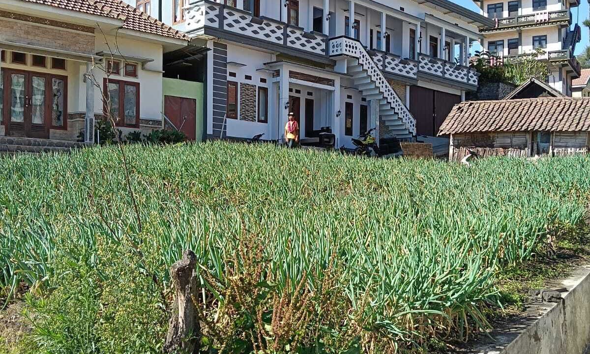 Photo of Outdoor in Ngadisari