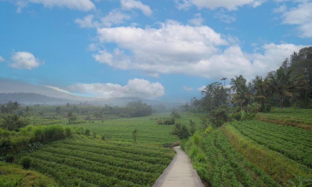 Photo of Outdoor in Selat