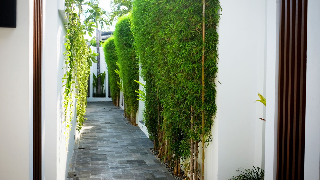 Photo of Outdoor in Dewi Sri