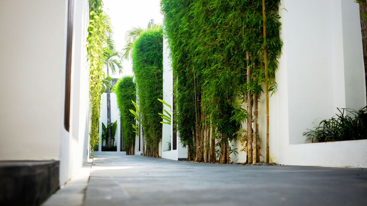 Photo of Outdoor in Dewi Sri