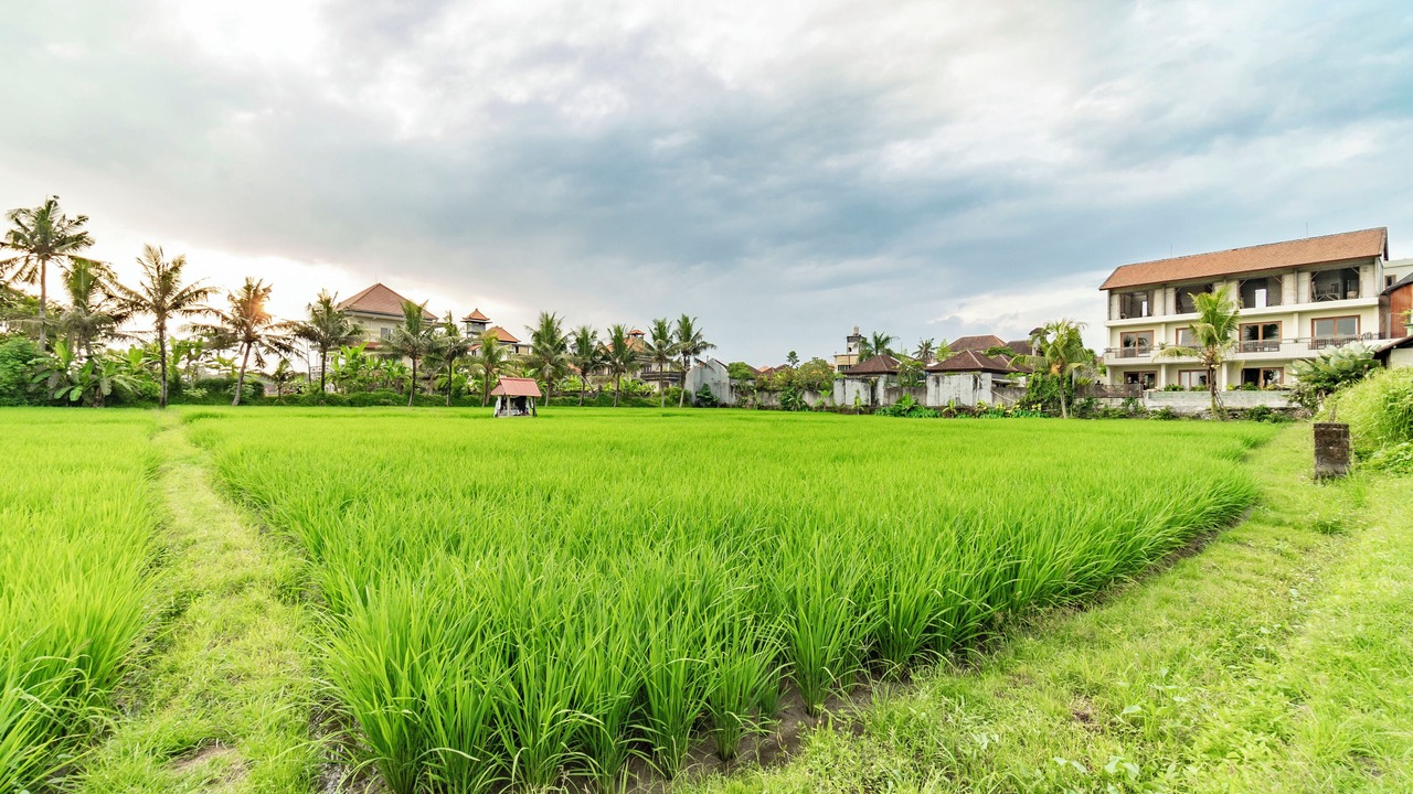 Photo of Others in Ubud City-Centre