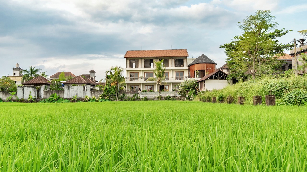 Photo of Others in Ubud City-Centre