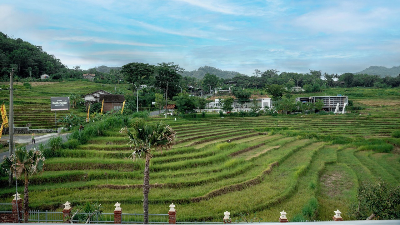 Photo of Outdoor in Banjarasri