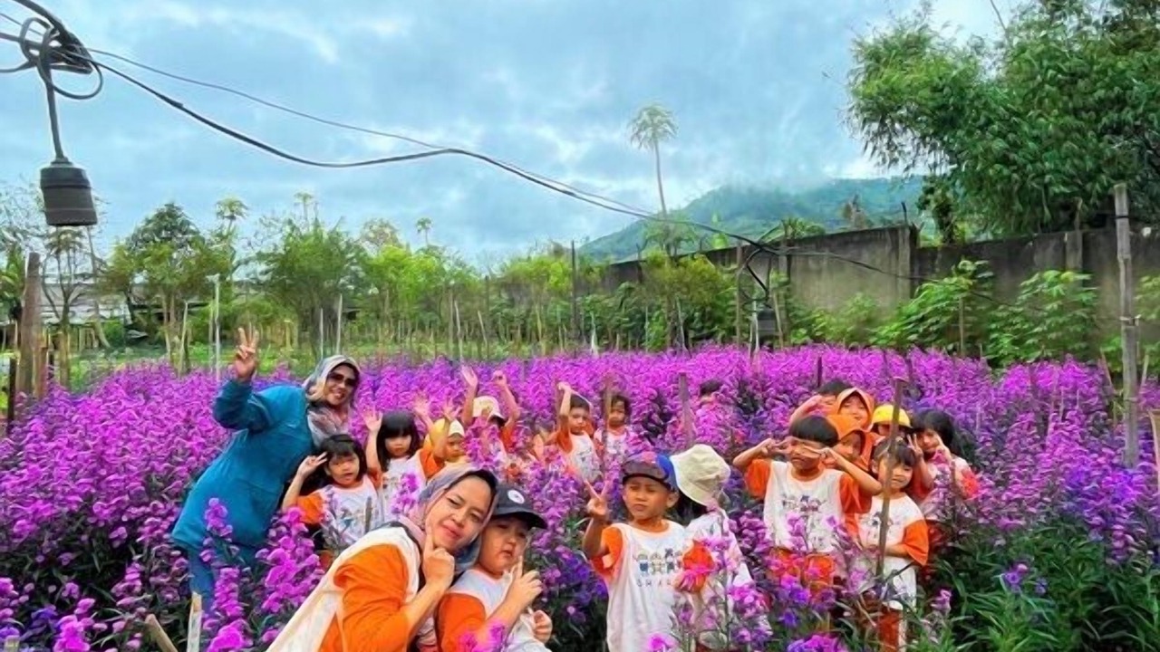 Photo of Outdoor in Cikole