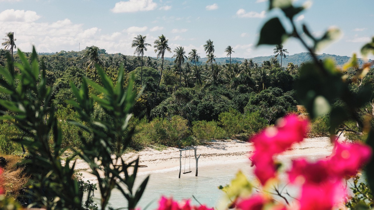 Photo of Outdoor in Rote Island