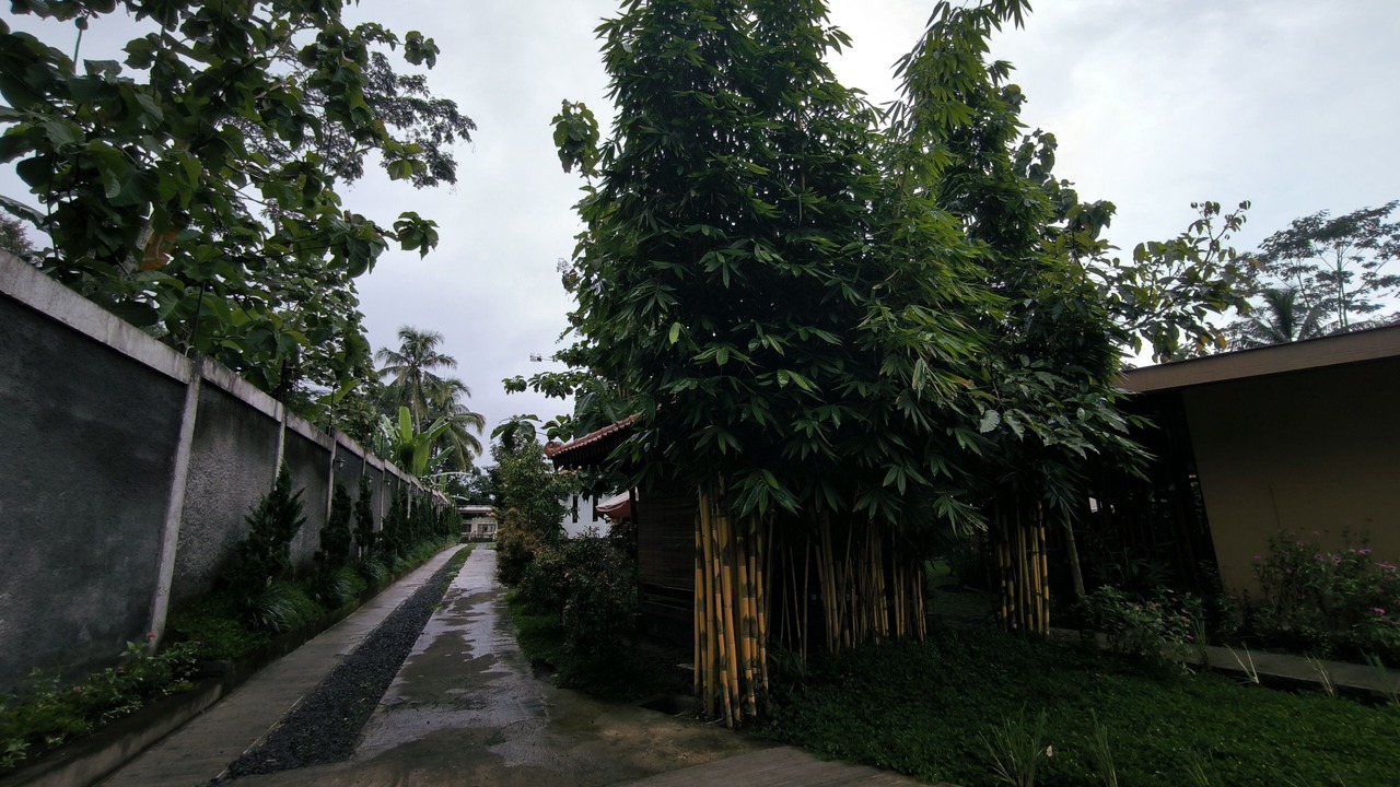 Photo of Outdoor in Banjarasri