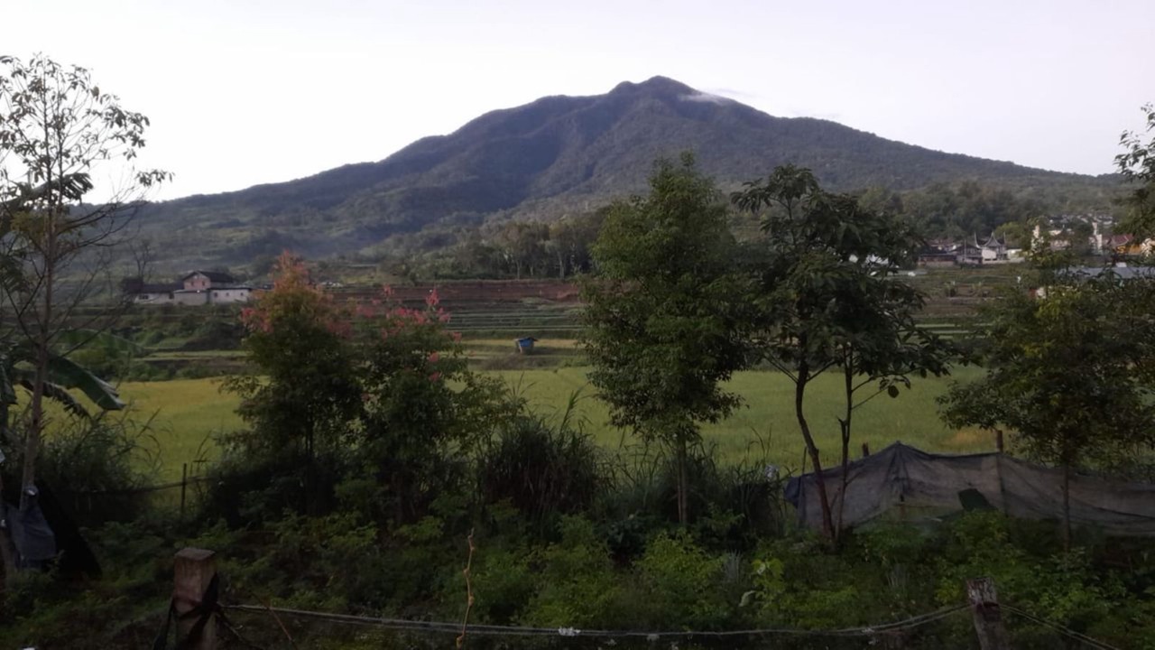 Photo of Others in Bukittinggi