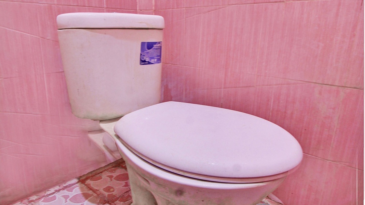 Photo of Bathroom in Praya
