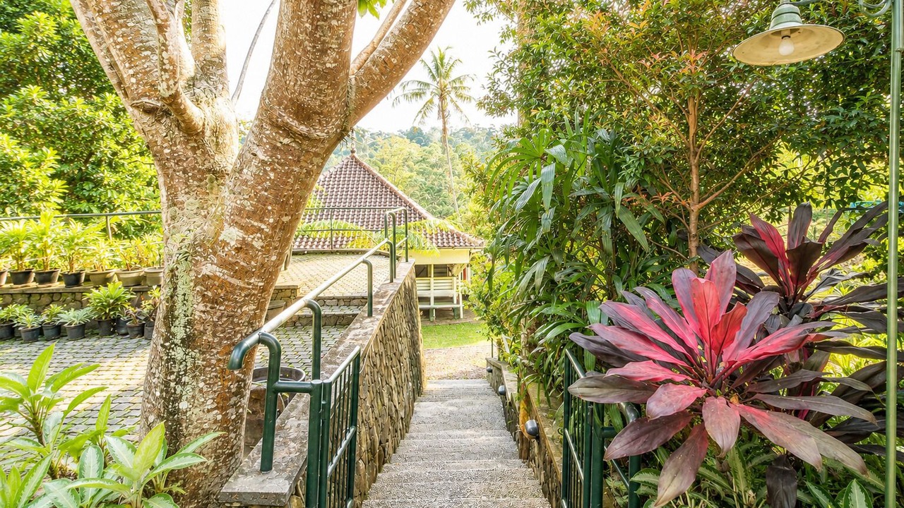 Photo of Outdoor in Megamendung