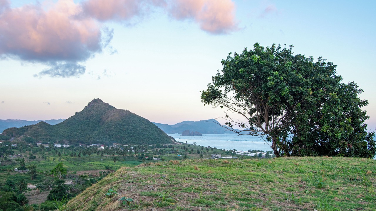 Photo of Outdoor in Selong Belanak