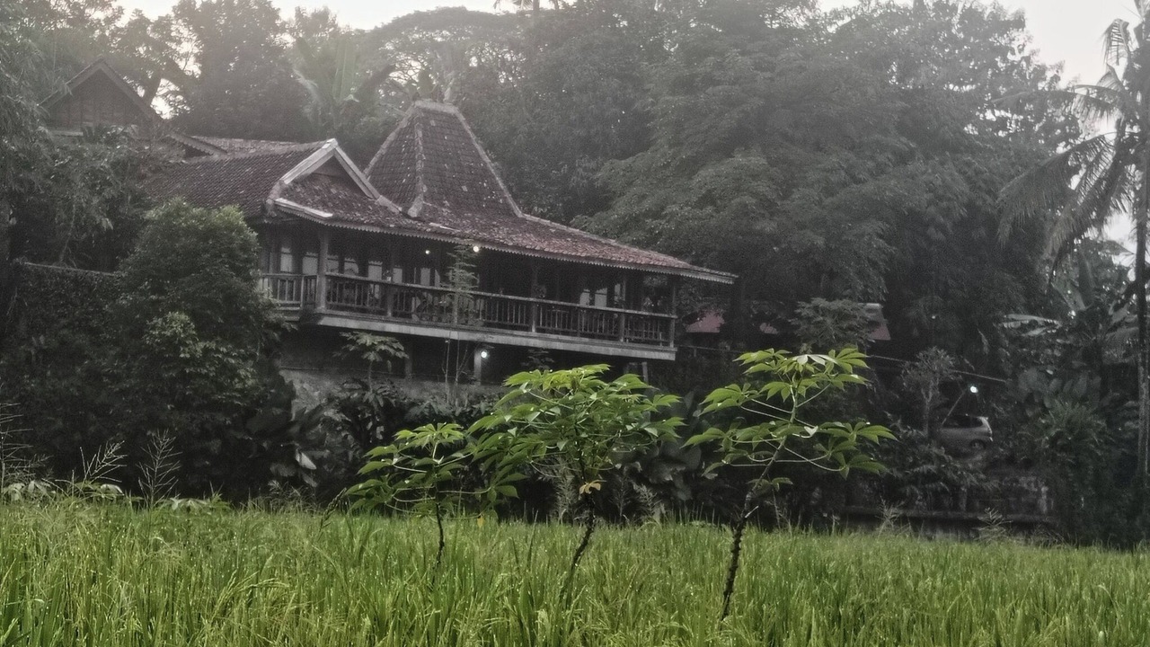 Photo of Bedroom in Banjarasri