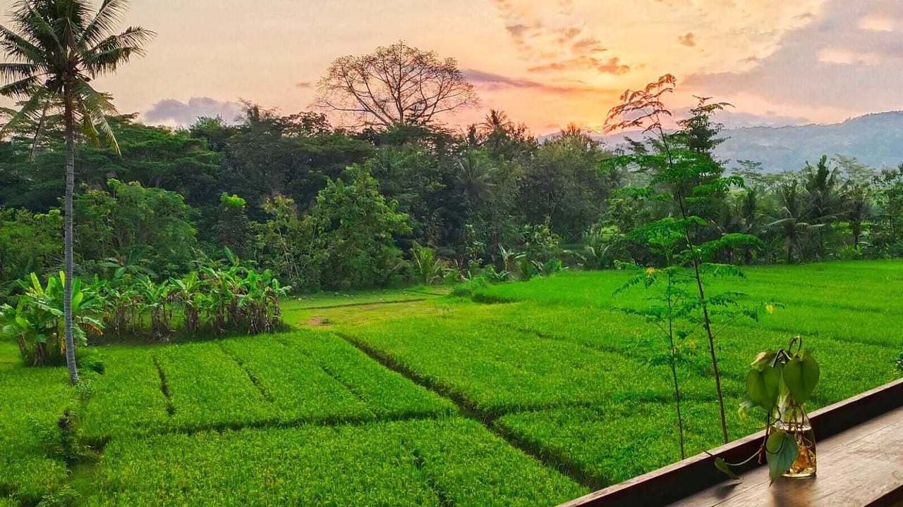 Photo of Outdoor in Banjarasri