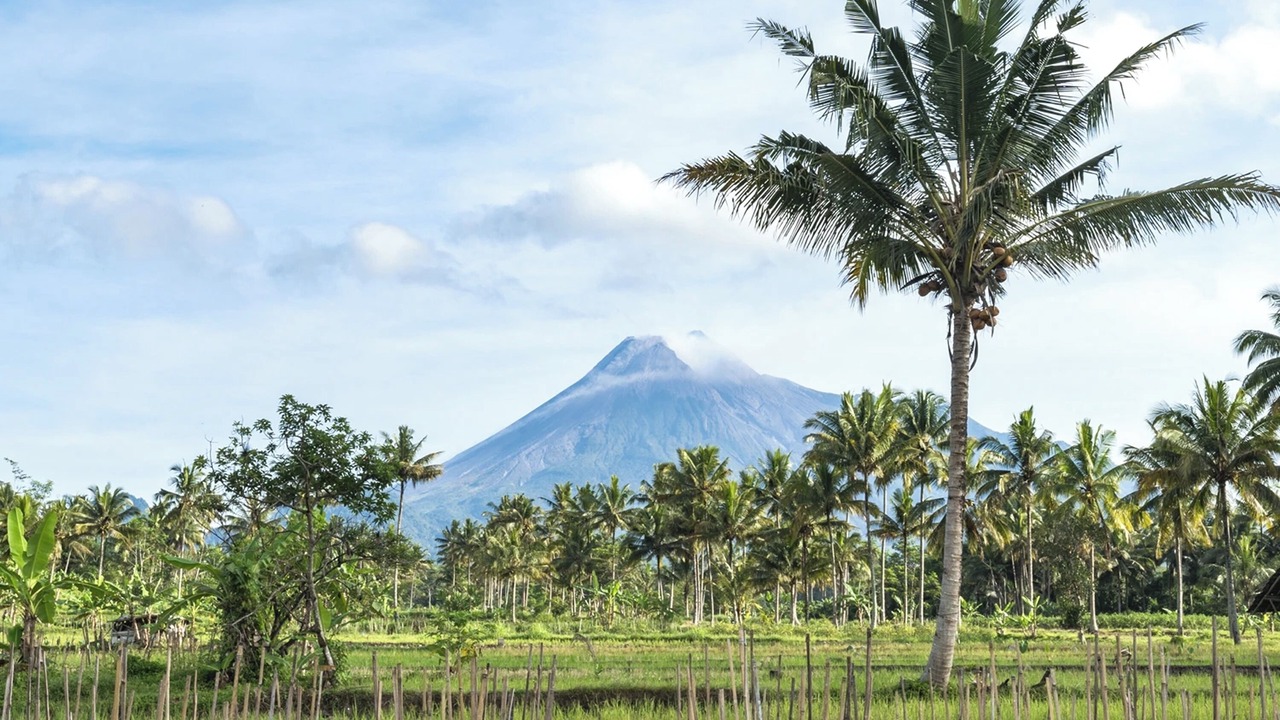 Photo of Outdoor in Cangkringan