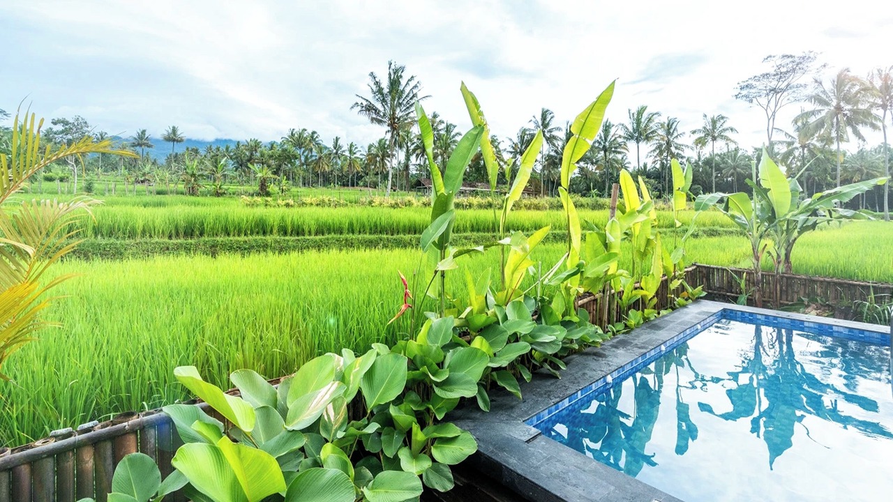 Photo of Outdoor in Cangkringan