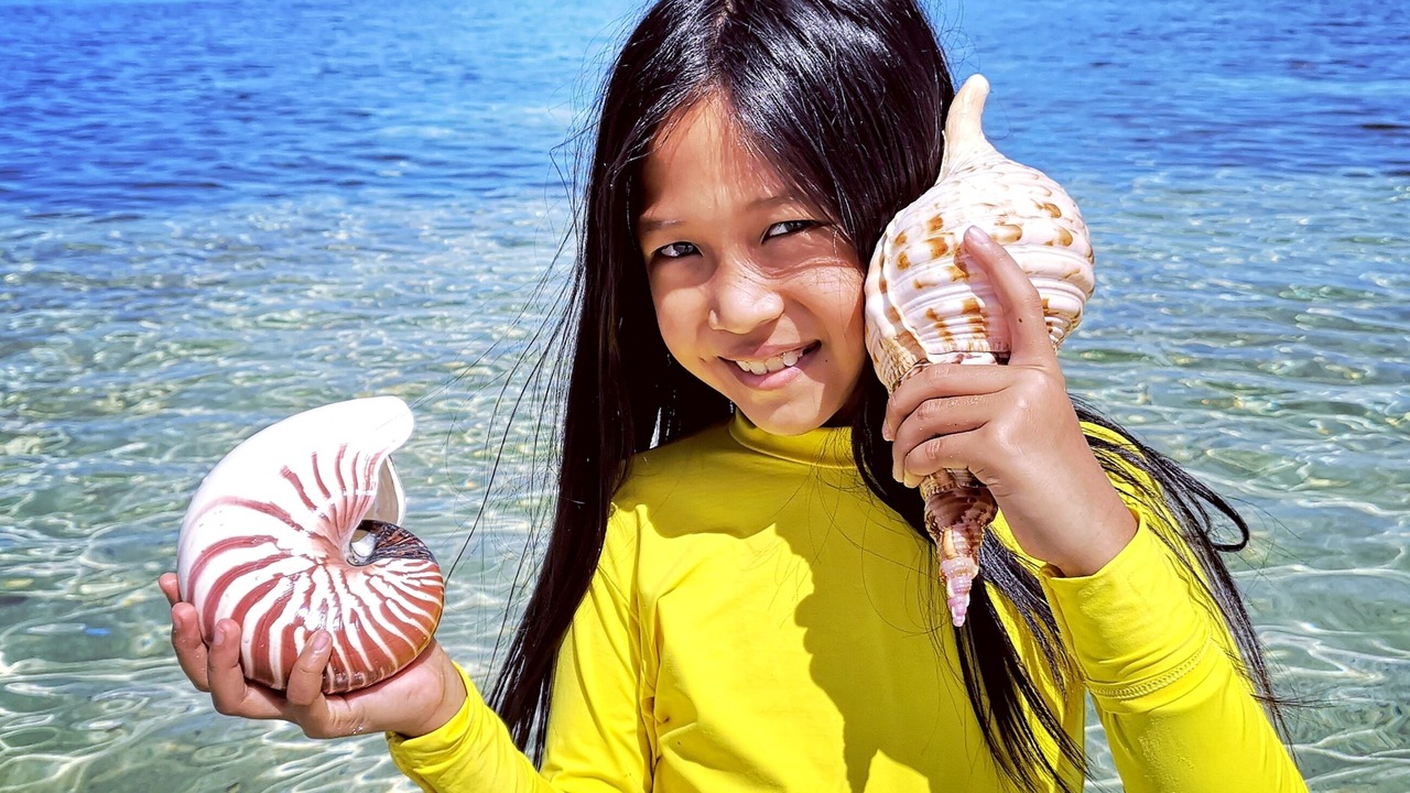 Photo of Others in Maumere