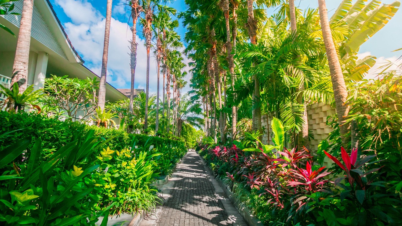 Photo of Outdoor in Petitenget