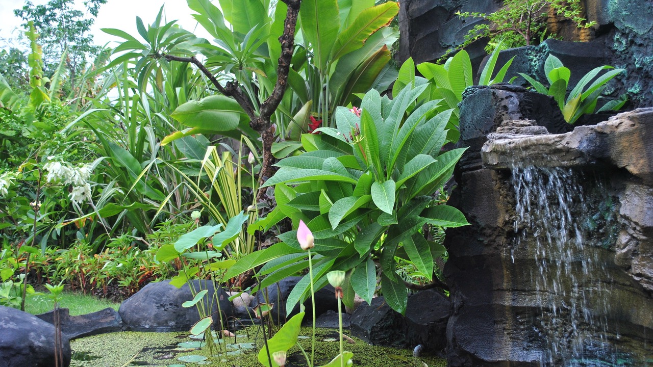 Photo of Outdoor in Pemuteran