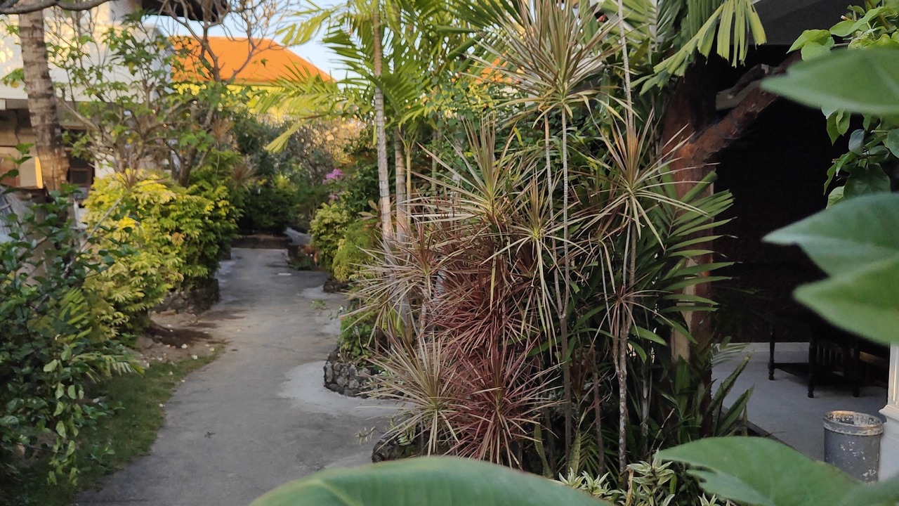 Photo of Outdoor in Downtown Kuta