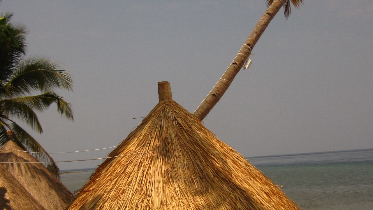 Photo of Others in Larantuka