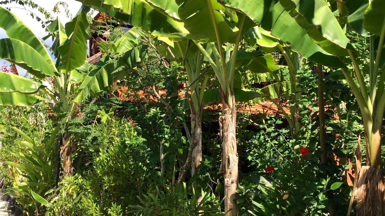 Photo of Outdoor in Gili Meno