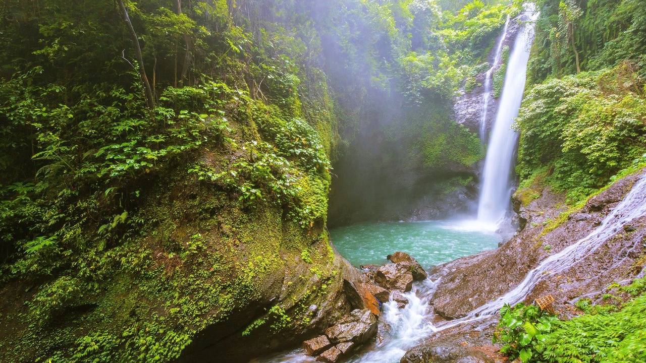 Photo of Others in Lovina