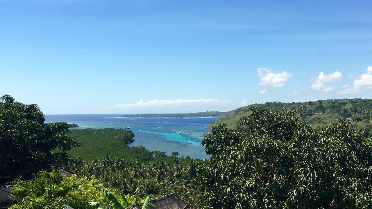 Photo of Patio Balcony in Mushroom Bay