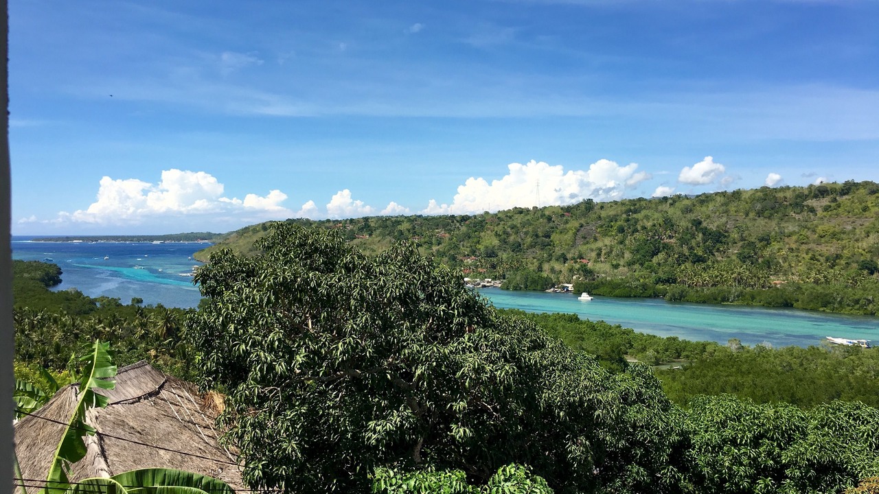 Photo of Outdoor in Mushroom Bay