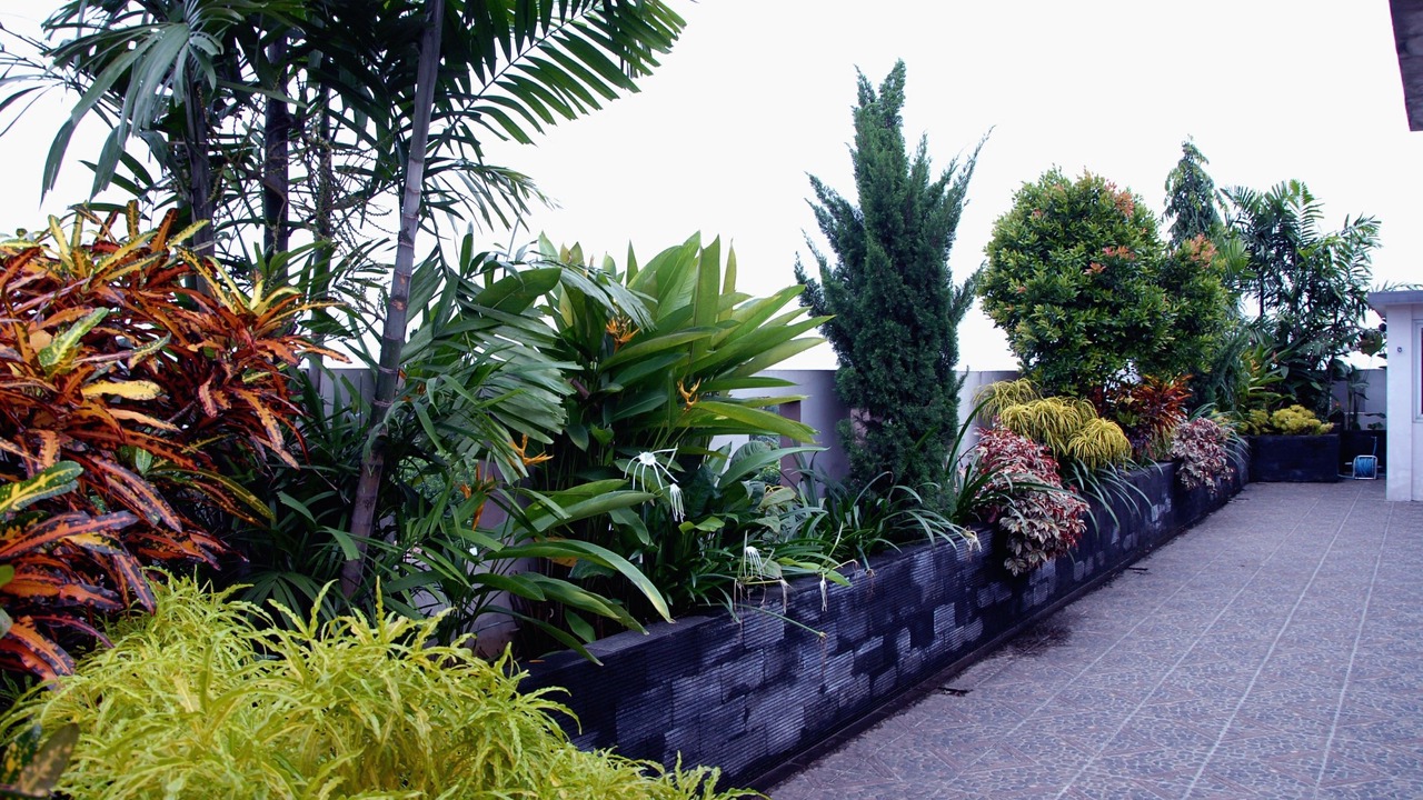 Photo of Outdoor in Cipete Selatan