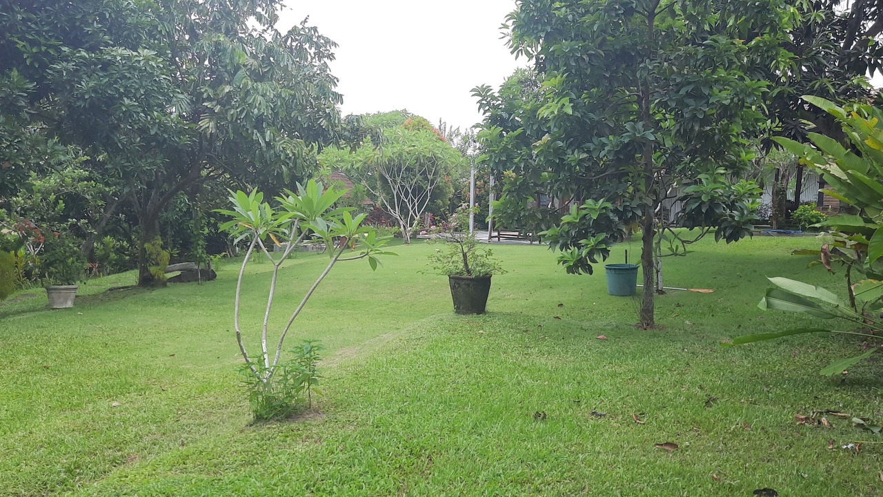 Photo of Outdoor in Dalung