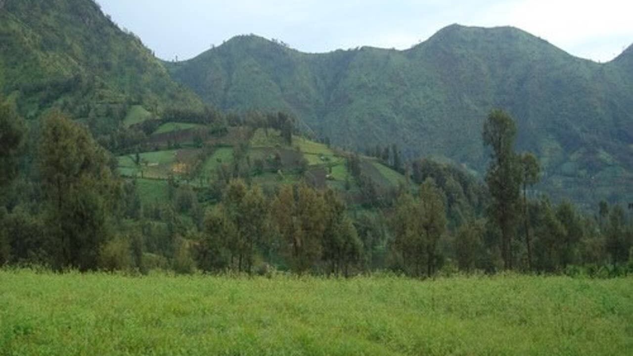 Photo of Outdoor in Ngadisari