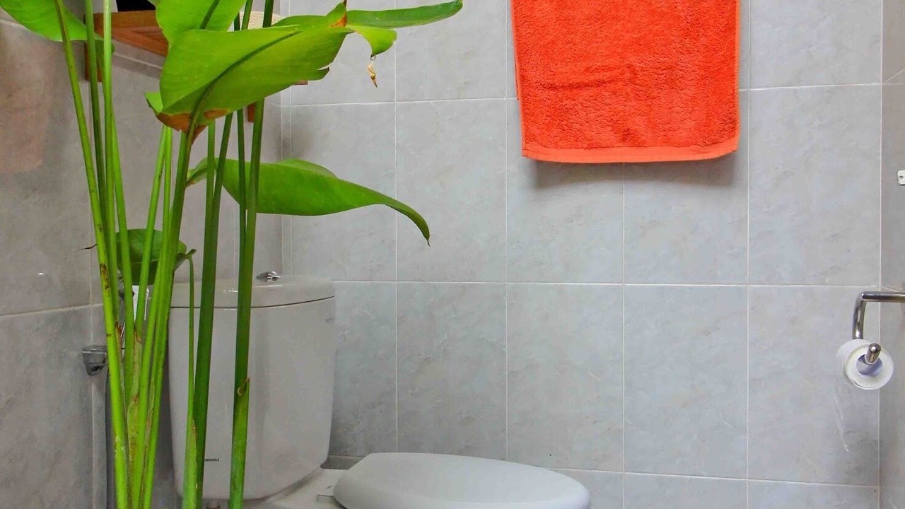 Photo of Bathroom in Kerobokan
