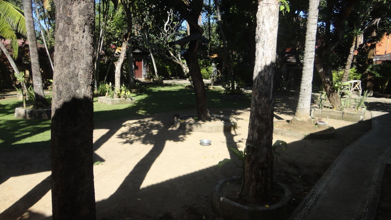 Photo of Outdoor in Drupadi