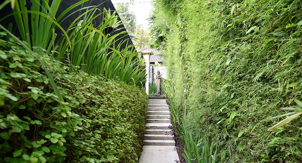 Photo of Outdoor in Penestanan
