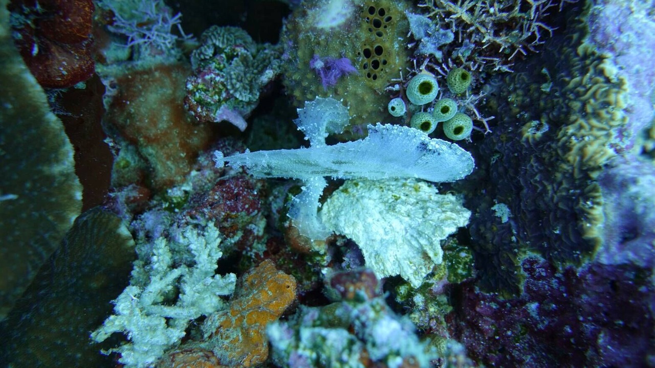 Photo of Outdoor in Labuan Bajo