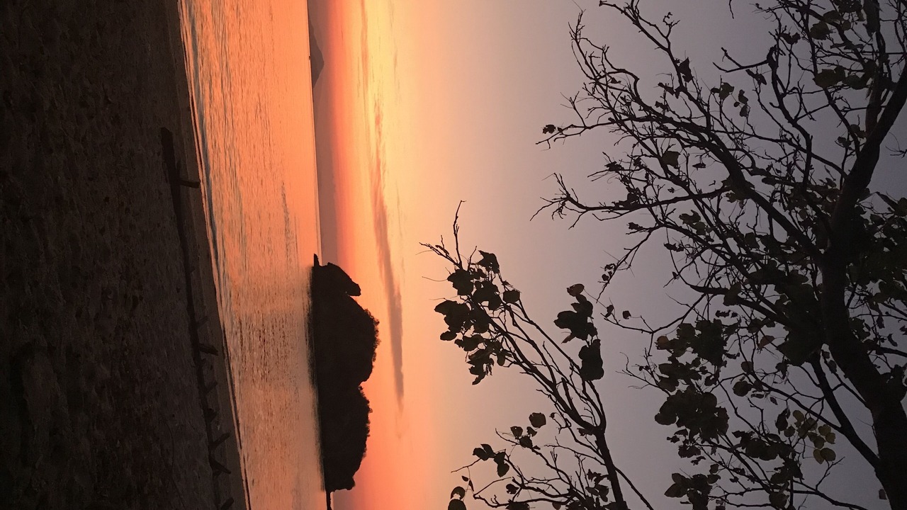 Photo of Others in Labuan Bajo