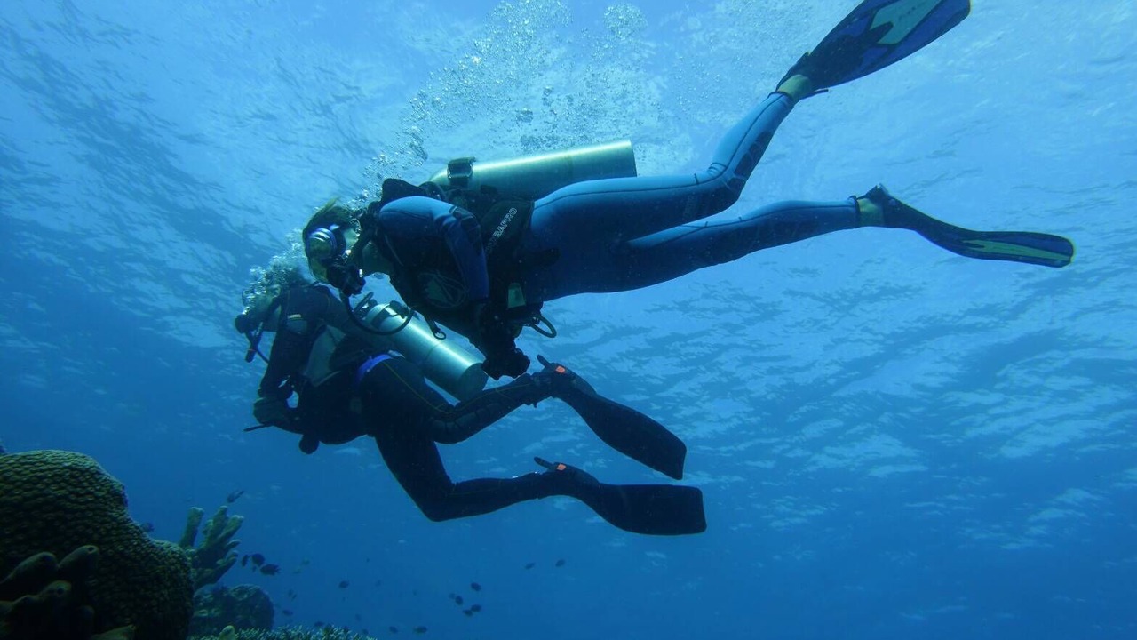 Photo of Others in Labuan Bajo