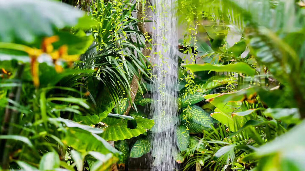Photo of Outdoor in Pecatu