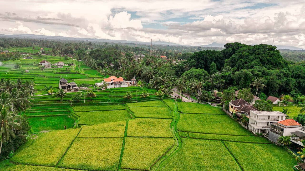 Photo of Outdoor in Tegallalang