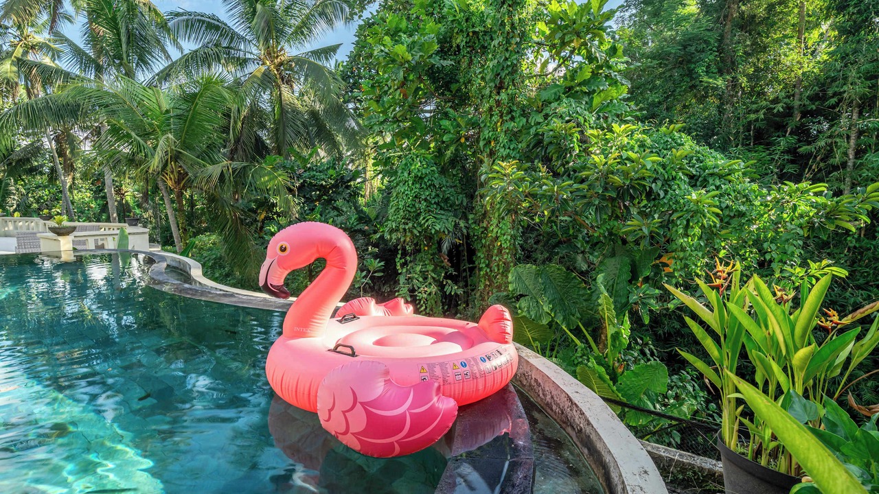 Photo of Outdoor in Ubud