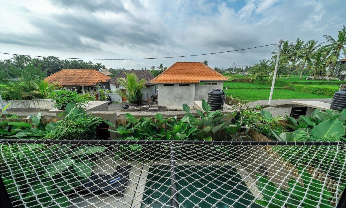 Photo of Outdoor in Pejeng Kawan