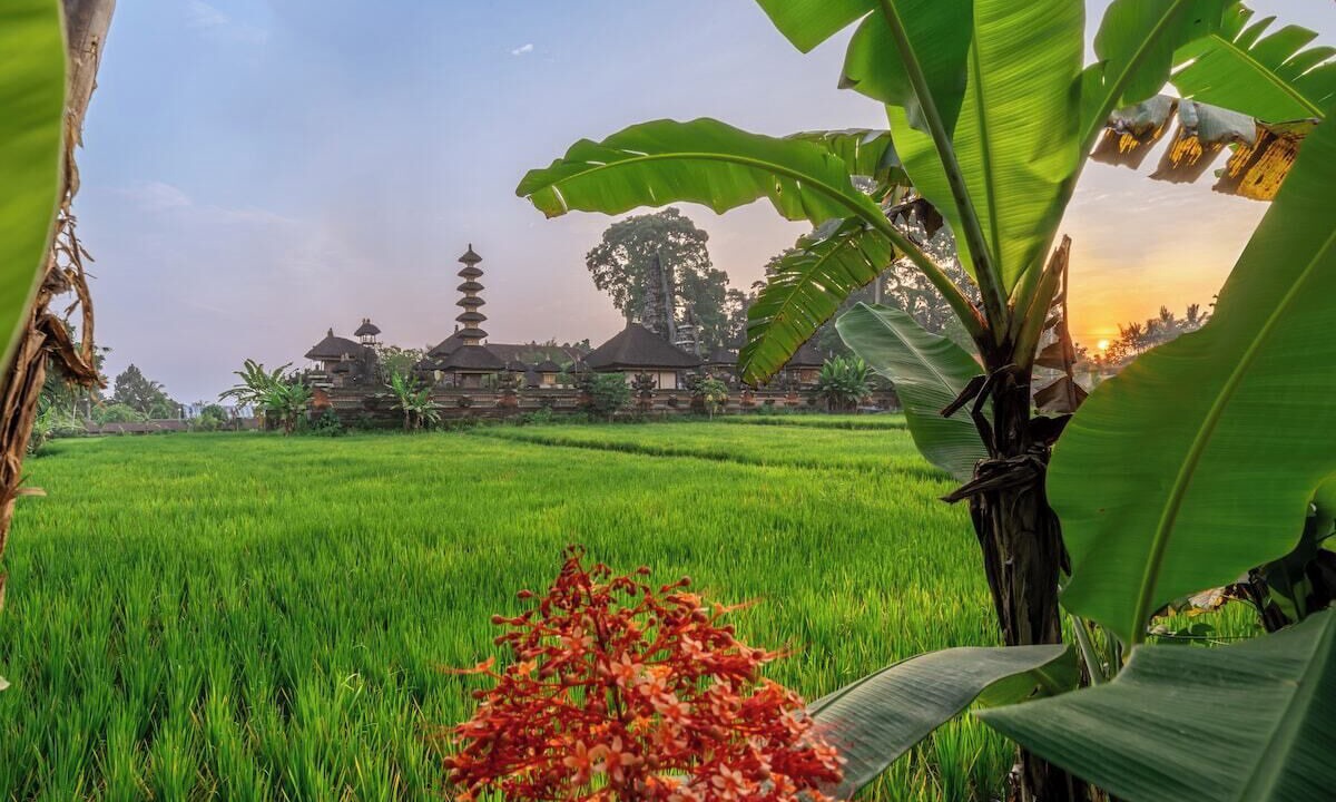 Photo of Outdoor in Melayang