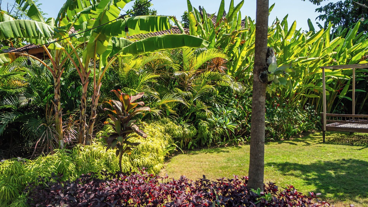 Photo of Outdoor in Batubulan