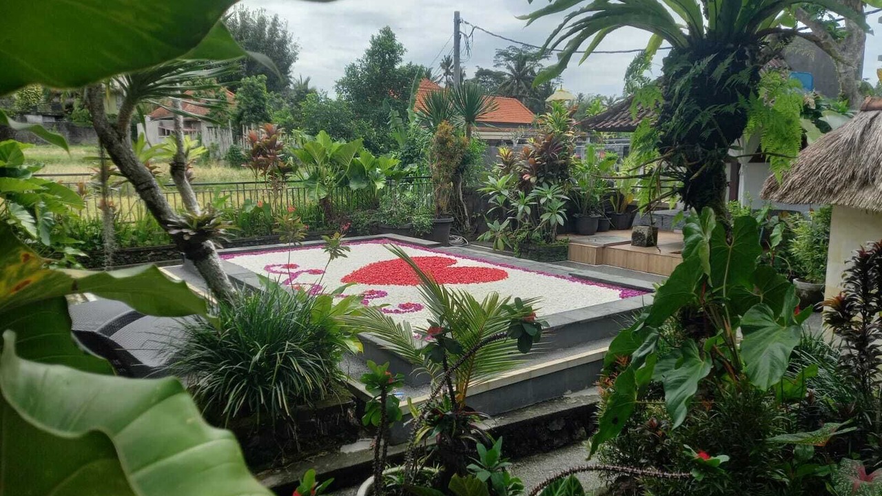 Photo of Outdoor in Petulu