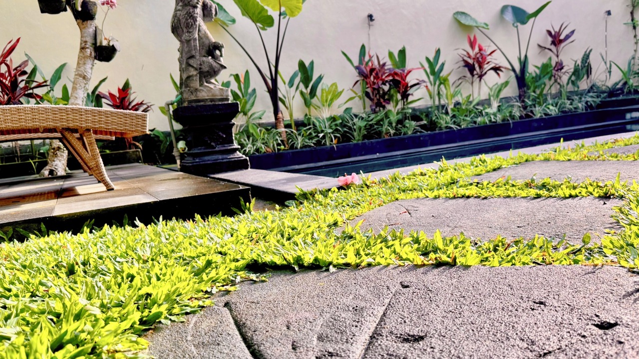 Photo of Outdoor in Penestanan